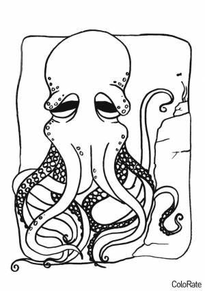 Раскраска Старый осьминог