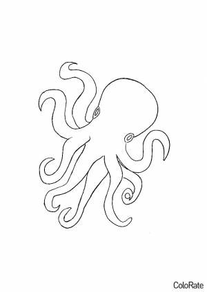 Раскраска Необычный осьминог