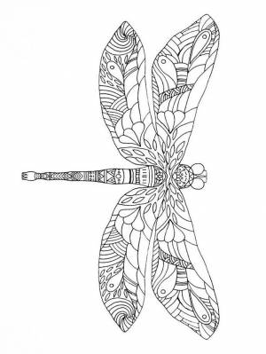 Раскраски Стрекоза Антистресс