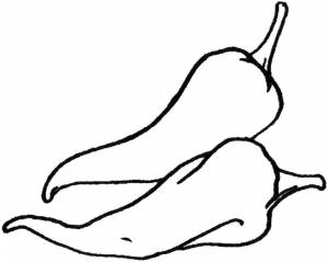 Раскраски Раскраска Острый перец