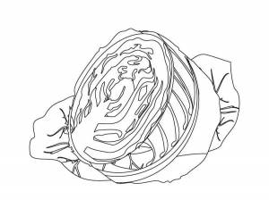 Раскраска Капуста