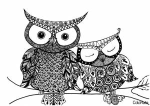 Раскраска Антистресс сова и фн