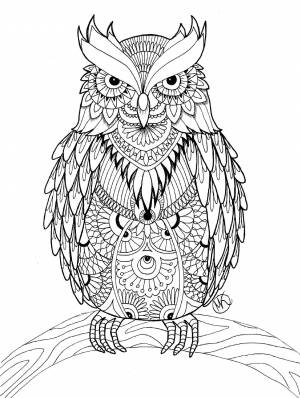 Раскраски Сова Антистресс