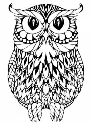 Раскраски Сова Антистресс   в формате