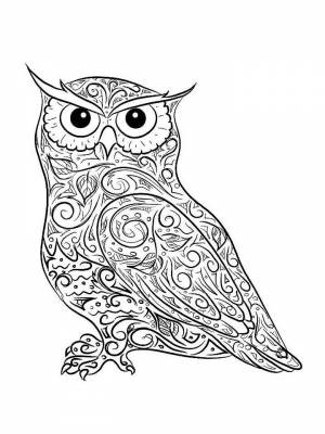Раскраски Сова Антистресс   в формате