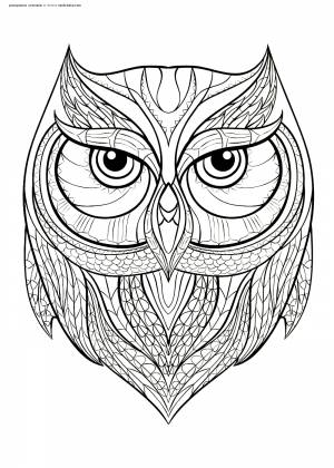 Раскраска Мудрая сова