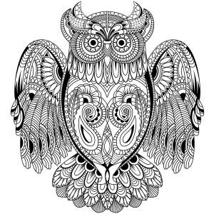 Сова раскраска