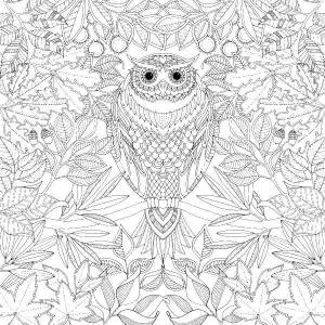 Раскраски Раскраска Сова и листва раскраски Антистресс