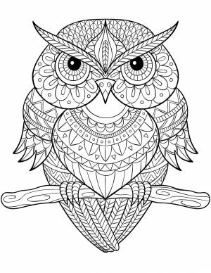 Фн раскраска