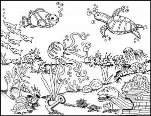 Раскраска водная