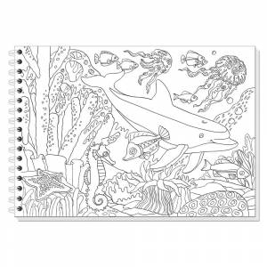 Альбом-раскраска 2 в 1