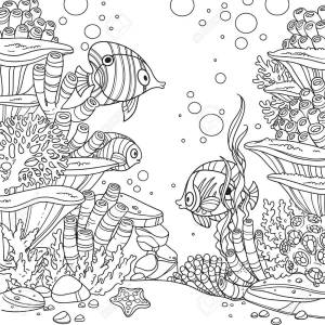 Раскраска водная