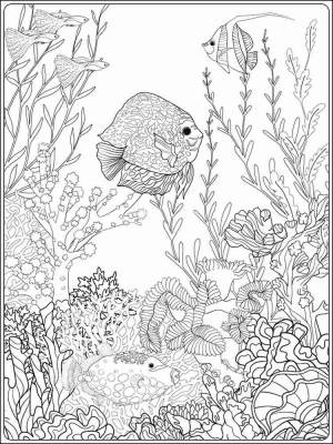 Раскраски Подводный мир Aнтистресс