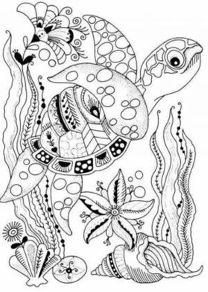 Раскраски морские картины