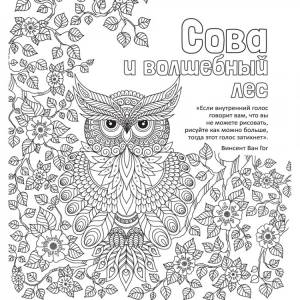 Антистресс-раскраска Сова и волшебный лес
