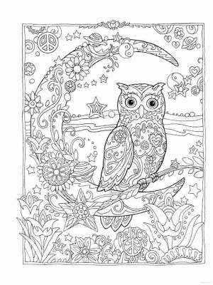 Раскраски Сова Антистресс