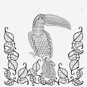 рисунок вектор тукан птица Illustrtion наброски книги реферат PNG , книжный рисунок, рисунок птицы, может рисовать PNG картинки и пнг рисунок для й загрузки