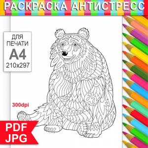 Медведь Раскраска Антистресс для распечатки на
