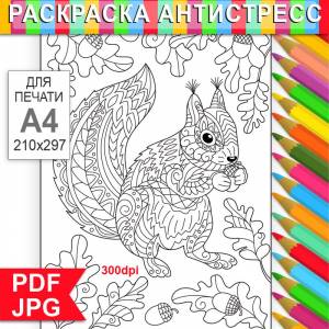 Белка в лесу страница для раскраски