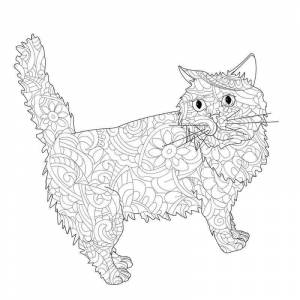 Раскраска Котик антистресс Барсик