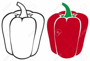 Болгарский перец рисунок