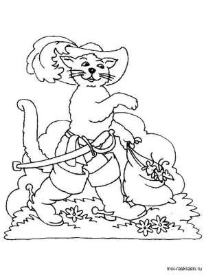 Раскраска Кот в сапогах