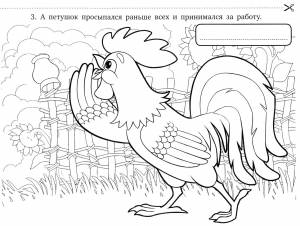 Петушок и бобовое зернышко раскраска