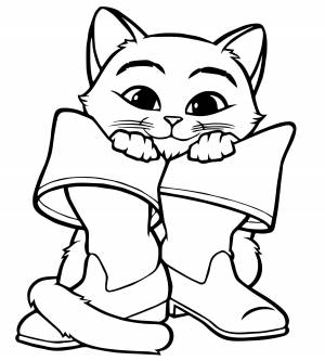 Кот держит сапоги