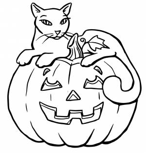 Тыква на Хеллоуин