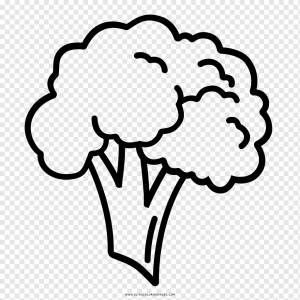 Рисунок Брокколи Раскраска Line art, брокколи, белый, текст, фотография png