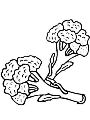 Раскраска Брокколи