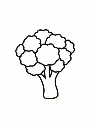 Раскраски Брокколи   в формате