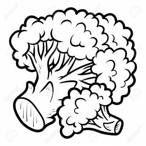 Coloring Book For Children, Broccoli Клипарты, SVG, векторы, и Набор Иллюстраций Без Оплаты Отчислений