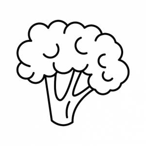 Икона векторного искусства брокколи