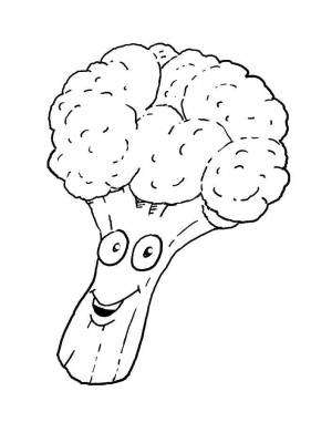 Раскраски Раскраска Брокколи овощи, Download print coloring page