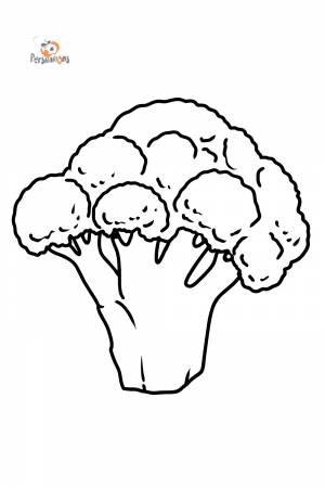 Раскраска Брокколи для малышей
