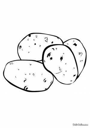 Раскраска Картофель