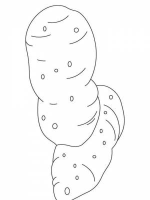 Раскраска Картошка  листе  для детей