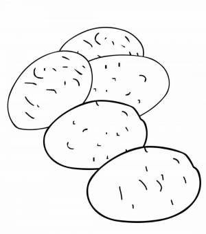Раскраски Картофель для детей