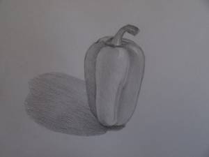 Рисуем перец карандашом