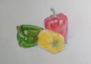 Сладкий перец цветными карандашами