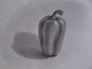 Рисуем перец карандашом