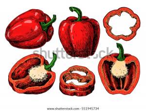 Перец ручной рисунок векторный набор