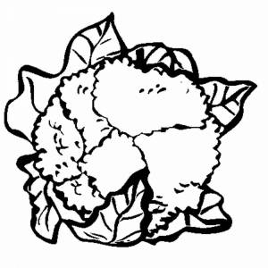 Раскраски Цветная капуста