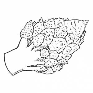 Векторный рисунок цветной капусты романеско