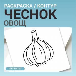 Чеснок овощ