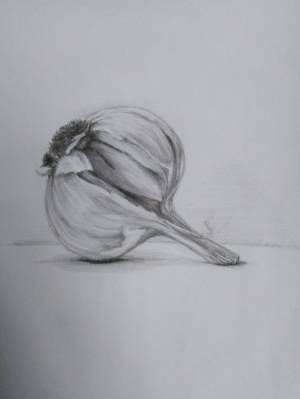 Рисунок карандашом чеснок