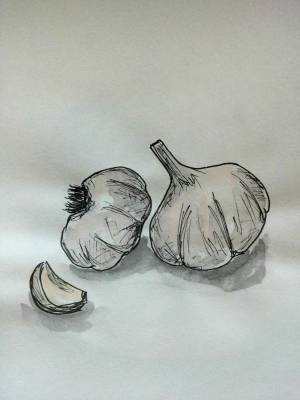 Чеснок карандашом