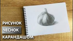 Как нарисовать чеснок карандашом