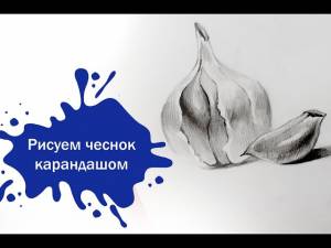 Рисуем головку чеснока простым карандашом!